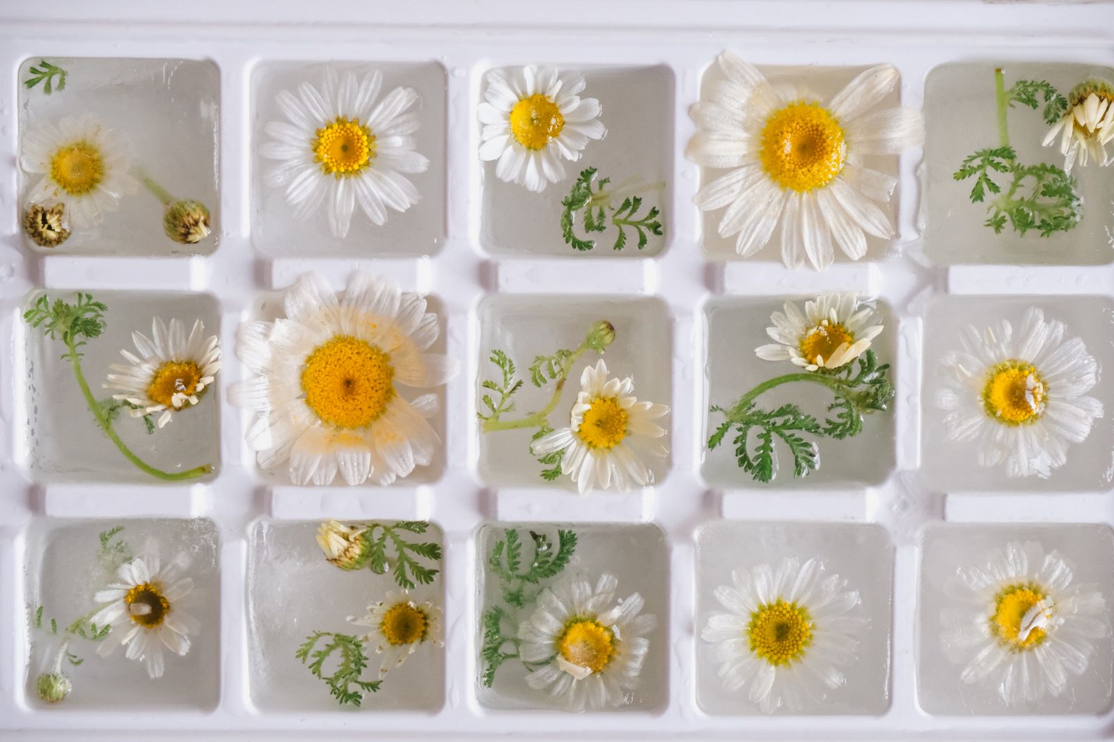 The Signature Bar Gift Set - Custom Mold, Glass & Mat