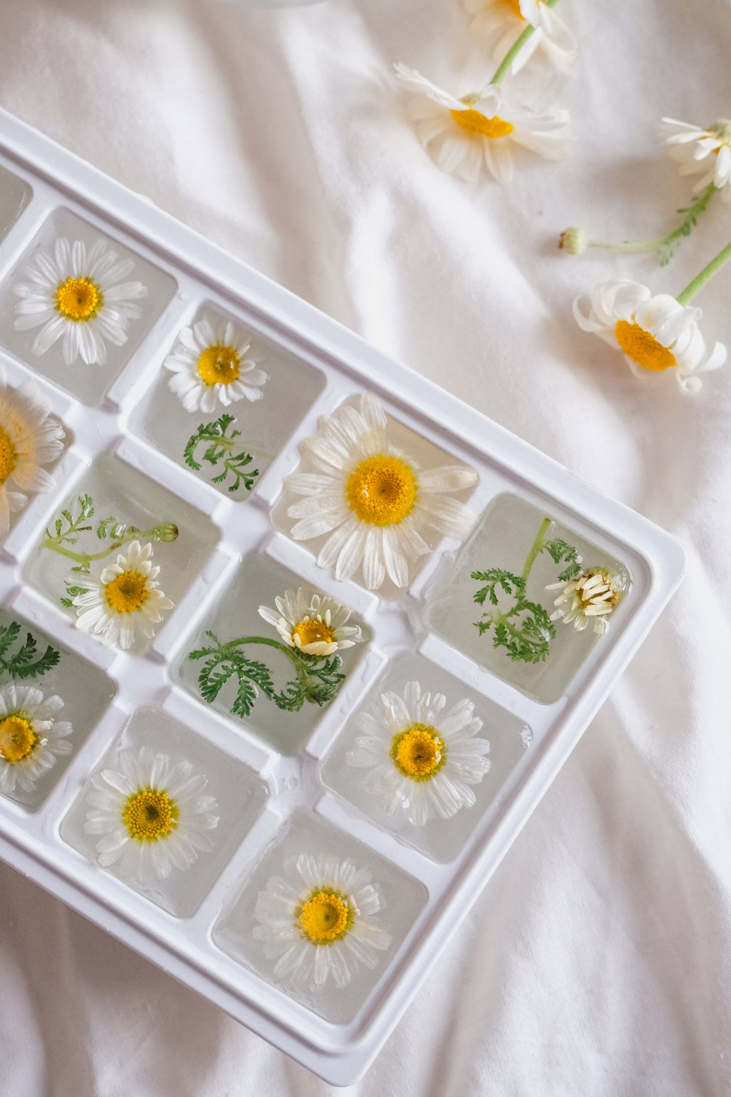 Custom Initial Cube Ice Mold